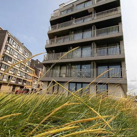Zeebries Daire Oostende